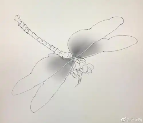 画蜻蜓自己琢磨的画法仅供参考