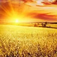 金黄的麦田头像_微信头像图片大全