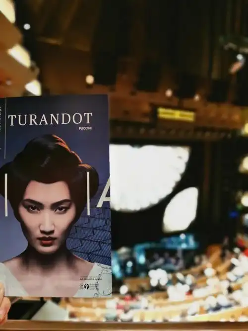 歌剧院上演,卡司名单里最多的是韩国人今夜无人入眠唱罢下面掌声雷动