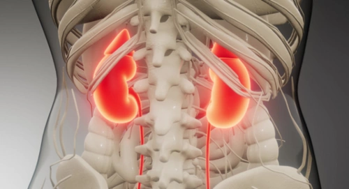 英国男子拥有世上最大的肾重约80斤下月将接受双肾切除手术