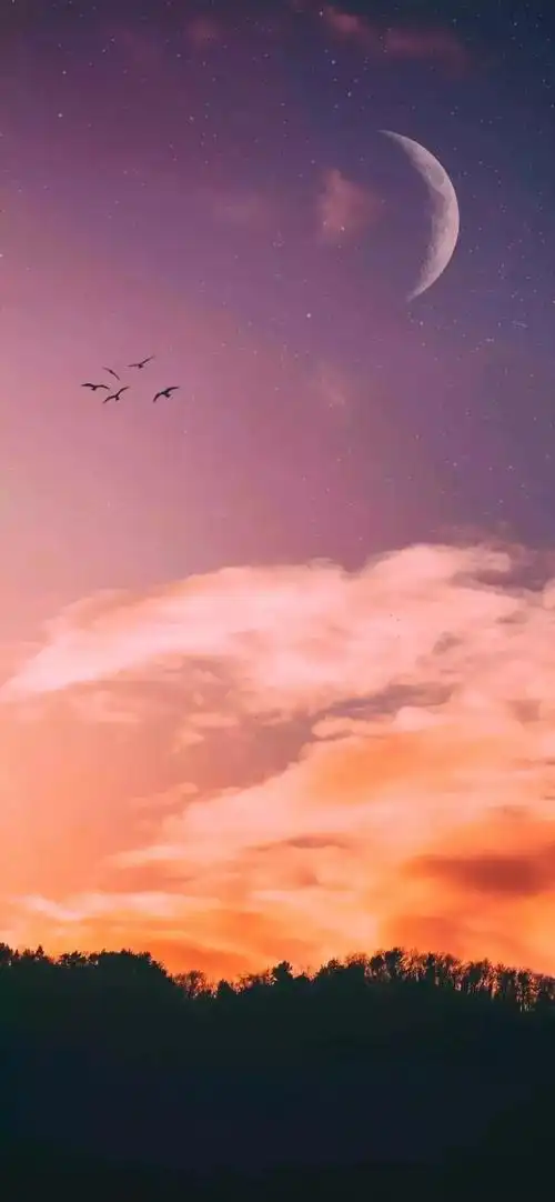 高清无水印全面屏抖音锁屏背景壁纸