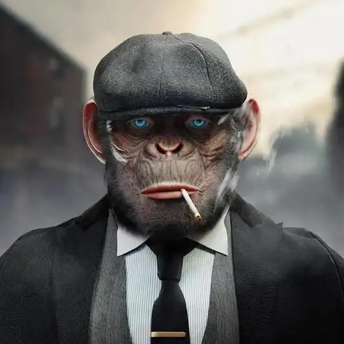 高清无水印猩猩头像