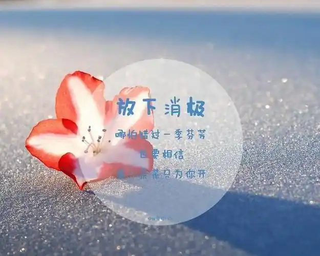 当你放不下面子的时候,所以心里委屈无处诉苦;当你放不下感情的时候