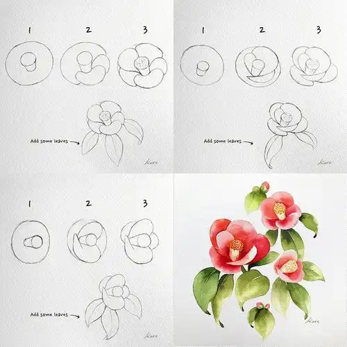 超详细山茶花零基础教程新手能学会166566