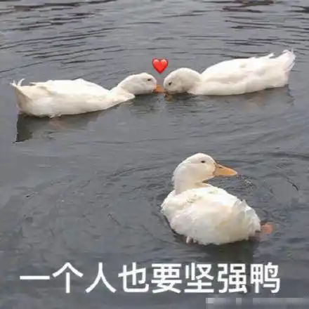 鸭鸭表情包:没有啦没有啦,我也就一般可爱啦