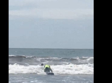 370_276gif 动态图 动图