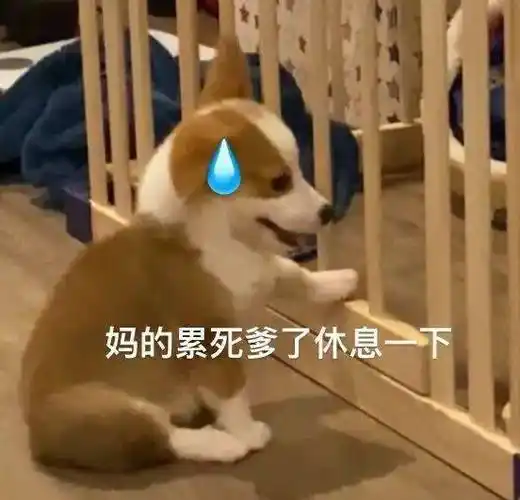 聊天必备表情包:别激动 冷静一下_公众_il_li