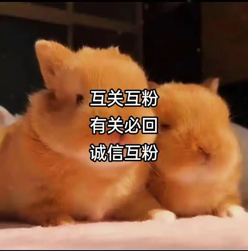 互关互粉,有关必回,今日上限,明日必回,评论区留言一起涨粉! - 抖音