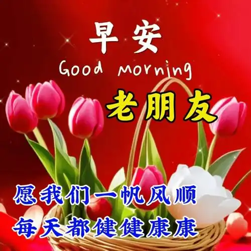 最美早安问候祝福图片带字温馨,唯美早上好祝福语图片集锦