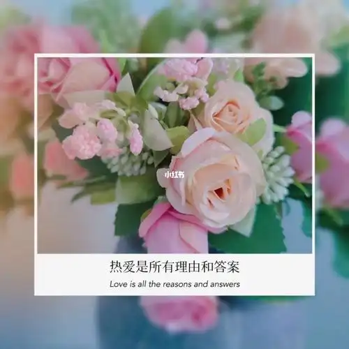 美丽的东西就是会让人心情变好呀