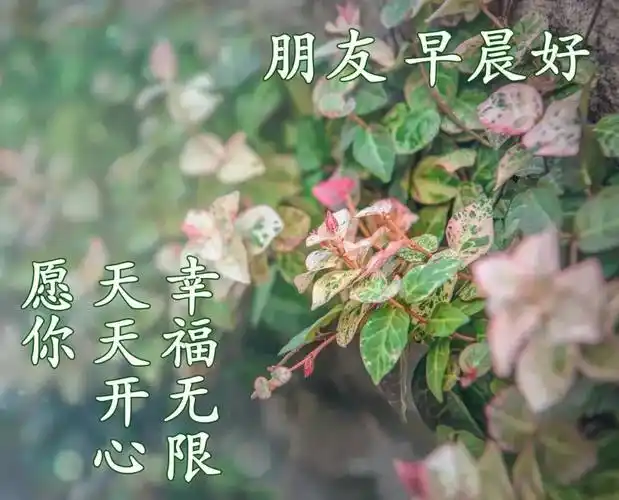 原创2021年12月14日星期二清晨早上好问候图片周二最新早安问候祝福