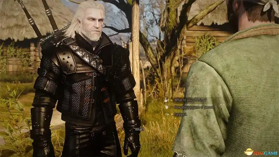 巫师3狂猎黑化极品狼套代码黑化极品狼套mod