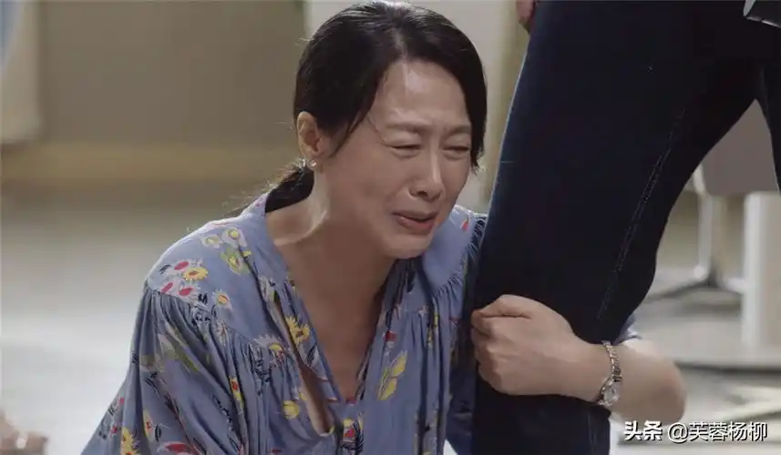 电视剧离婚律师演员表(我们的婚姻) - 燕来学堂