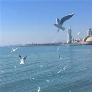 2020微信头像图片风景美图精选 唯美意境的微信风景头像大全