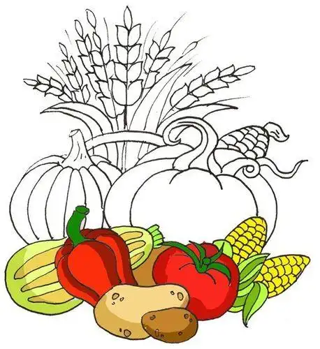 蔬菜大丰收儿童简笔画