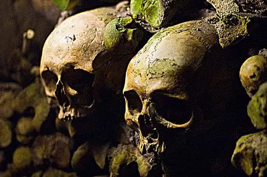 骷髅图片_骷髅图片大全_全景网