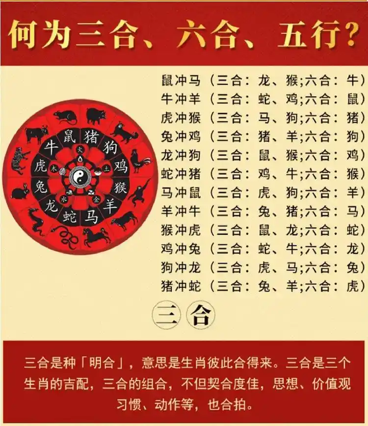我属牛90: 蛇和鸡 是我的三合.鼠 是我的六合.都说三合是天作之合