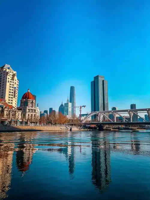 原创天津恢复跨省旅游海河边成群的海鸥吸引了广大摄影爱好者前来