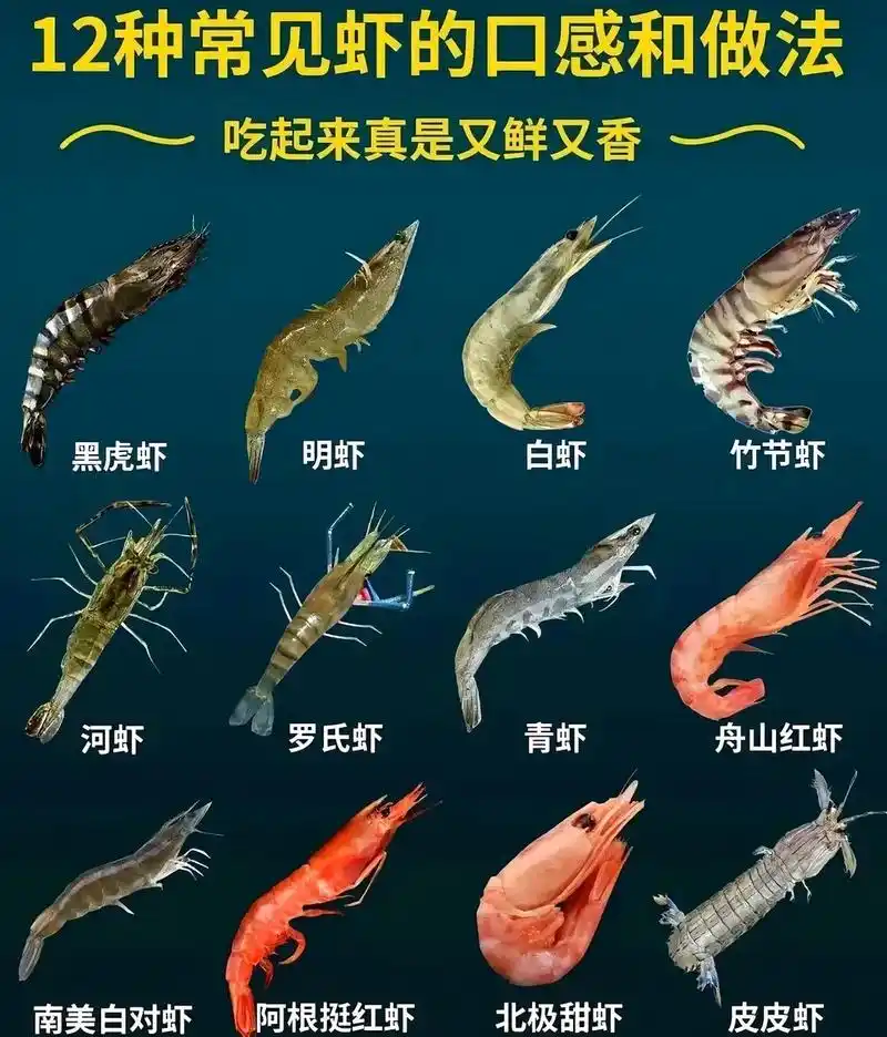 明虾是养殖最多市场最普遍的品种 竹节虾也就是俗