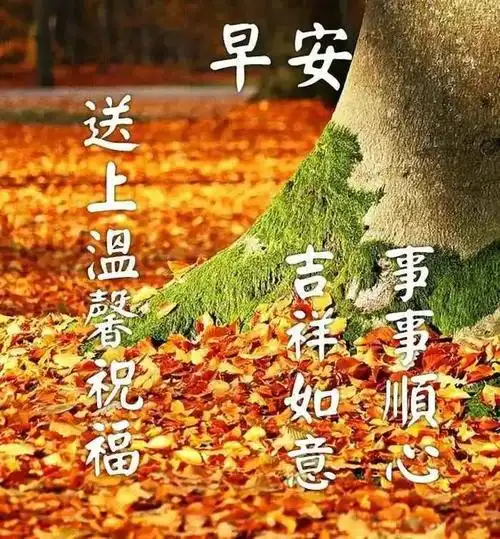 上午好动态图片最新版漂亮的幸福问候语