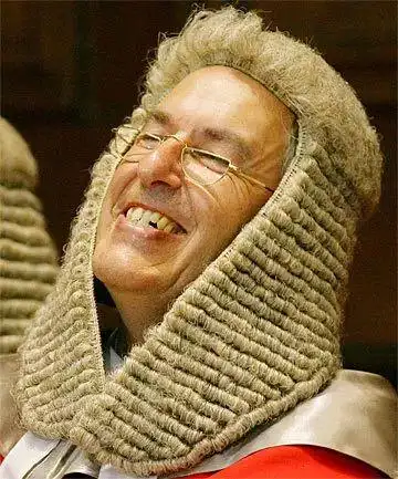 如果一顶司法假发,显出米黄色甚至金黄色,这也代表着他的佩戴者的资历