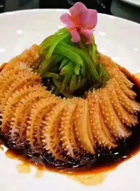 冰魂雪魄目鱼肚40包*200g仿食材