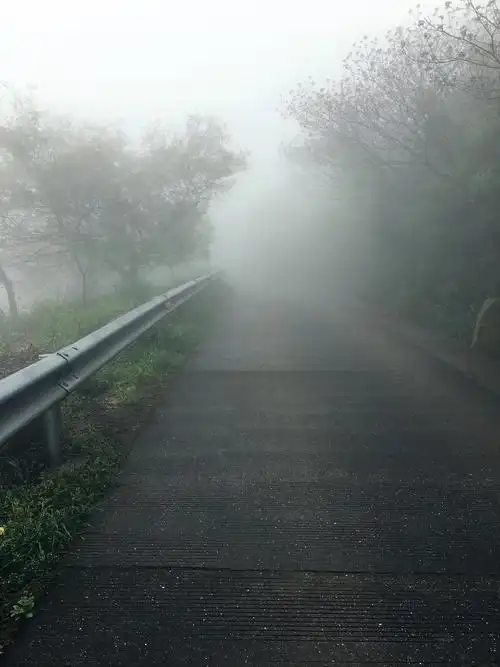 大雾迷蒙在山上