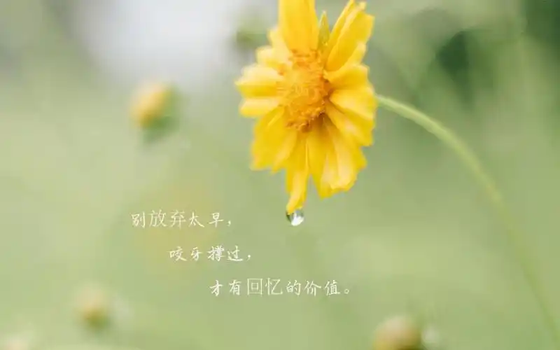 经典励志说说致自己带字配图