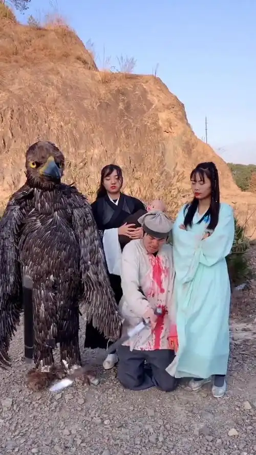 雕兄早点出手,少侠也不会领盒饭