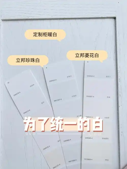 那就乳胶漆调色吧!