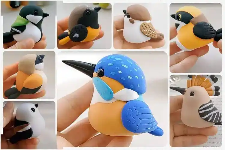 活动爱鸟周寻找春日之鸟