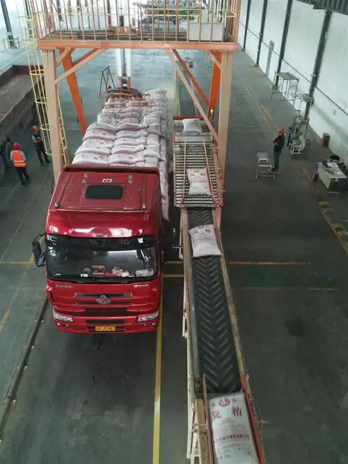 袋子自动装车机