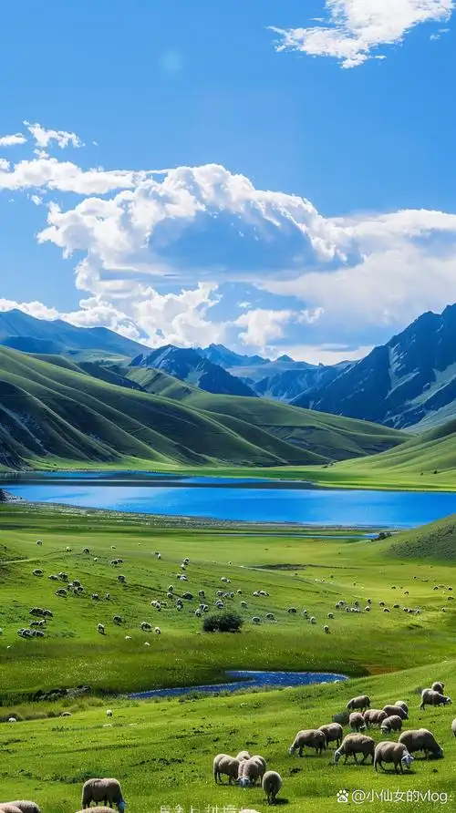 山静水清牧羊归,草原风光美如画.