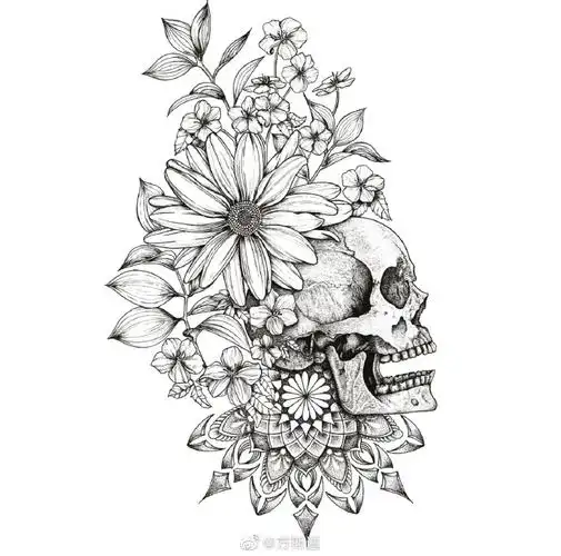 针管笔黑白线条 黑白线描 静物花卉创作#线描##黑白装饰画##创意线描