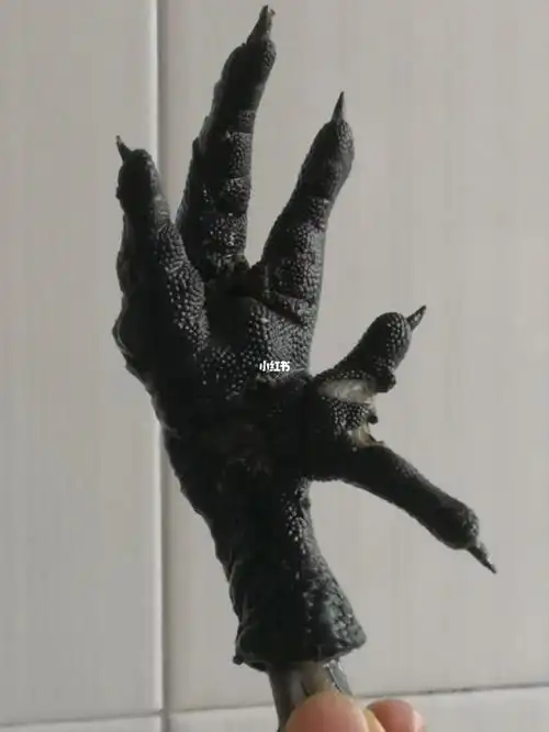 亲们,我还从没有数过乌鸡的脚趾头