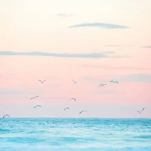 桌面壁纸 主页封面 微信朋友圈背景图 专辑封面