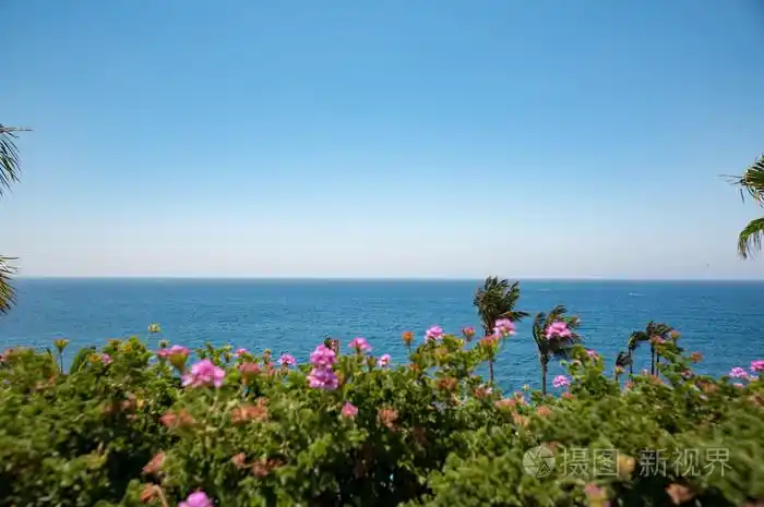 景观图的草海和天空