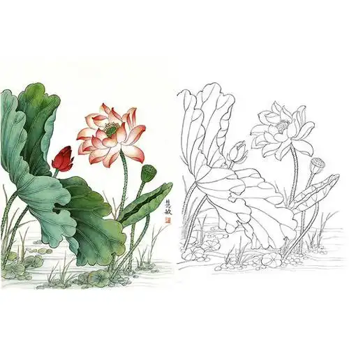 工笔花鸟白描底稿荷花斗方小品册页a301