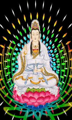 240_400竖版 竖屏gif 动态图 动图