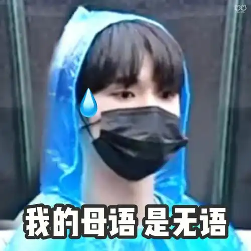 02严浩翔贺峻霖表情包