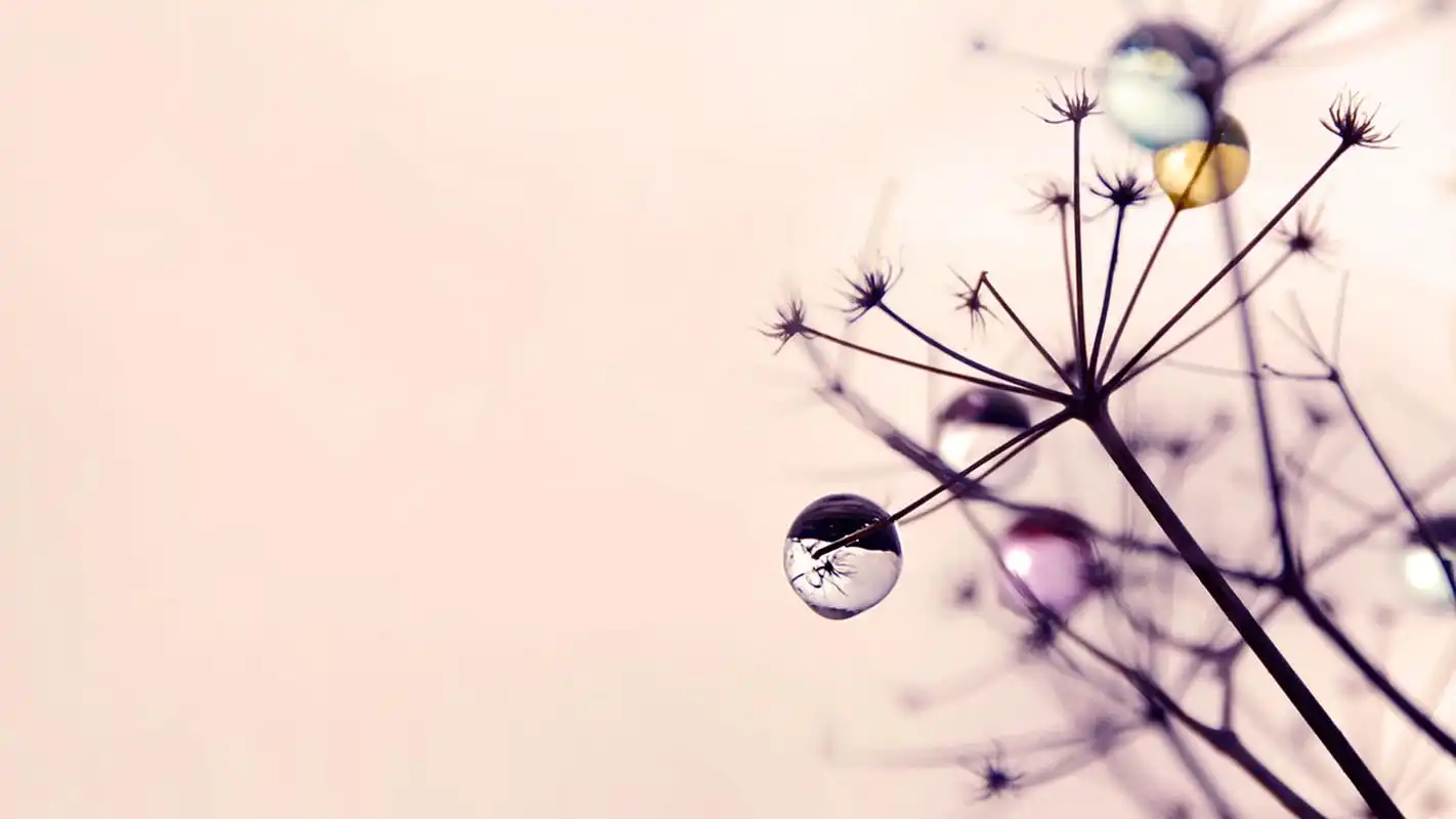 岁月静好文艺小清新唯美电脑桌面壁纸高清大图预览1920x1080_高清壁纸