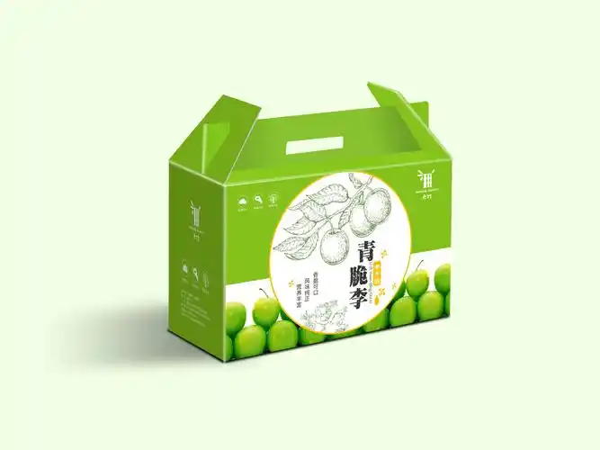李子包装设计