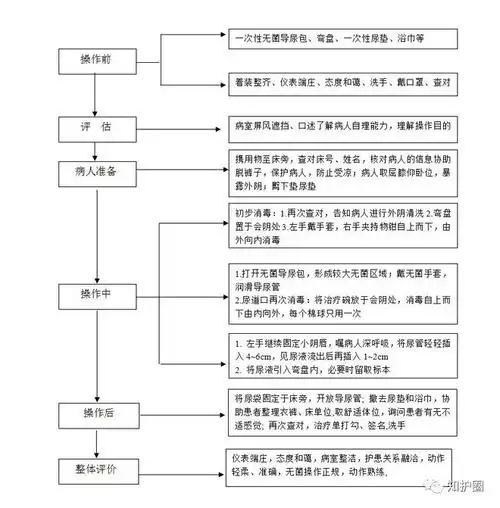 基础护理操作流程导尿术女性操作流程图