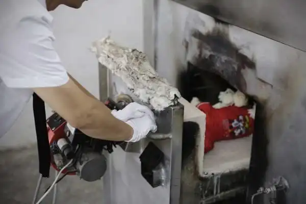 上海现豪华宠物葬礼 宠物狗配木棺灵车(图)