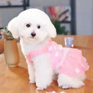【博美犬衣服公主可爱】博美犬衣服公主可爱品牌,价格 - 阿里巴巴