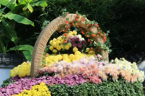 2020年福州西湖公园菊花展