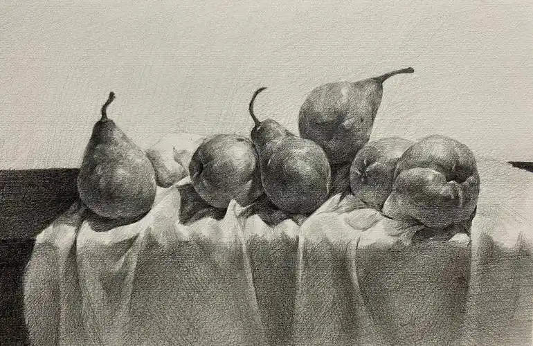 少儿素描怎么画之静物写生