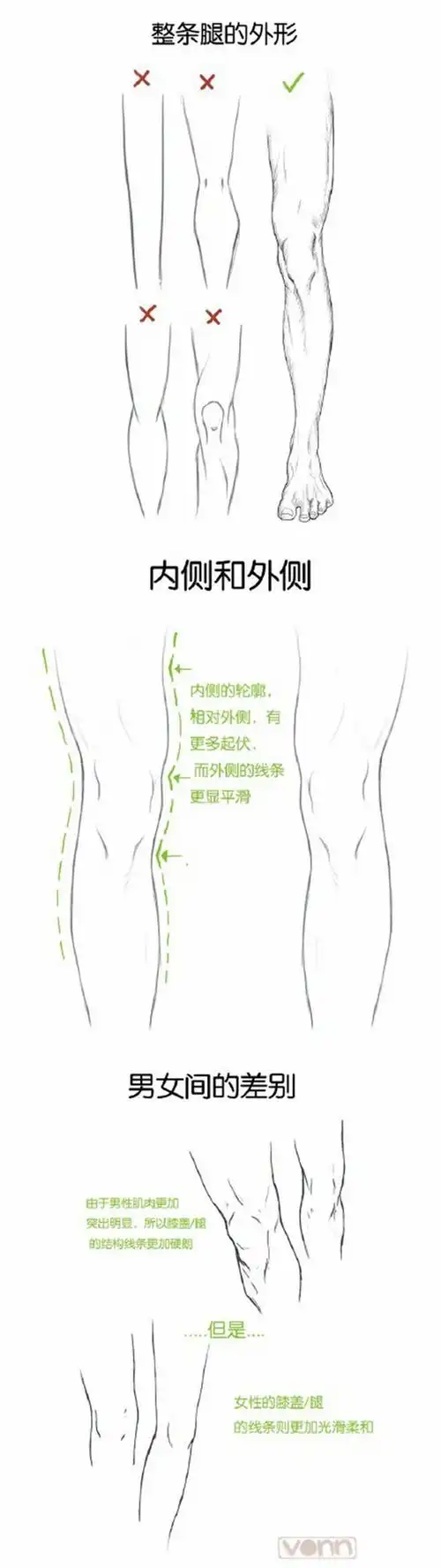 腿部画法参考#绘画参考##板绘##绘画素材