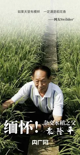 泪目网友集体缅怀袁隆平您是看着我们吃完午饭才走的