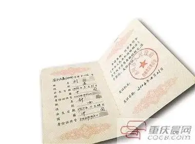 男子拿假离婚证骗女友被揭穿 砍伤女友及其母亲